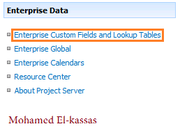 Enterprise Custom Fields and Lookup Tables