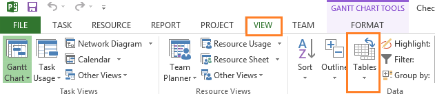 View Tab in Project 2013