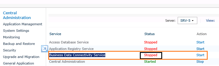 Start Business Data Connectivity Service