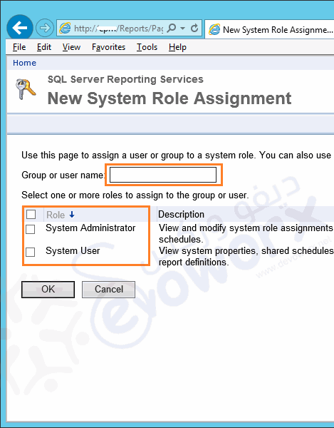 Manage Permissions in SSRS