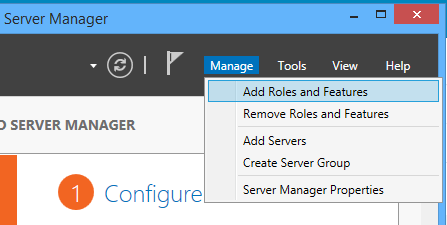 add feature from server manager