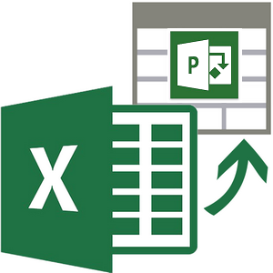 import excel to project server