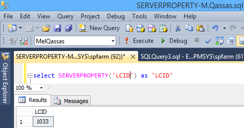 SERVERPROPERTY('LCID')