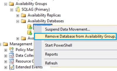 Remove WSS_Logging database from Availability group
