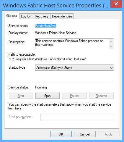 Windows Fabric Host Service