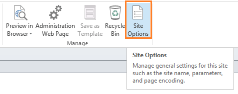 Site Options in SharePoint Designer-min