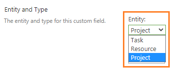 Enitiy and type in Project Server