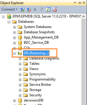 Database in Restoring state